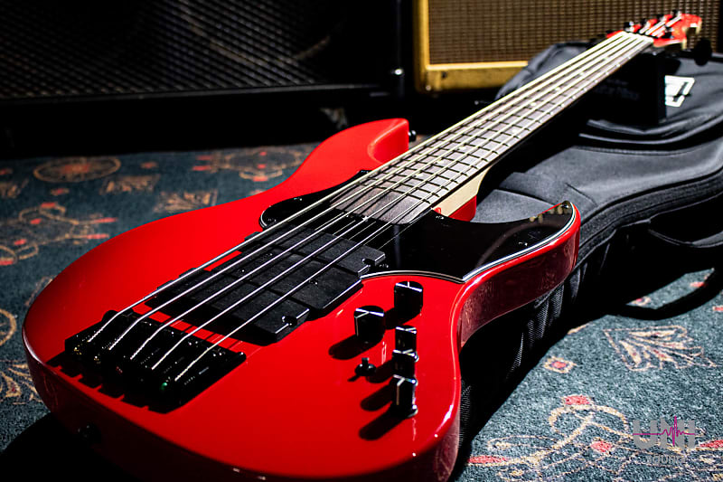 Edwards Platinum E-AMAZE-5-190 IKUO Signature Model #Red | Reverb