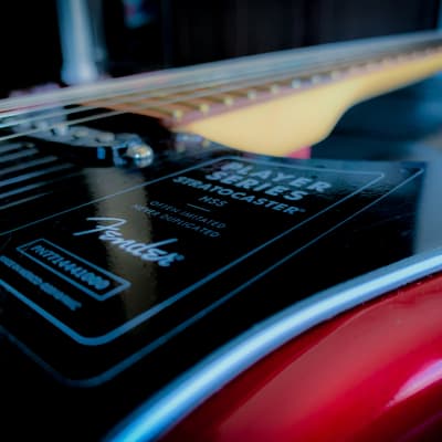 Ambrosia - Fender Strat - FREE Hard Case!! image 2