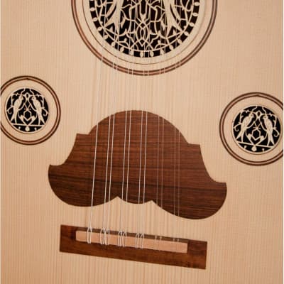 Arabic Oud W/ Soft Case Package Includes: Classic Arabic Oud W/ Soft Gig Bag Case + Arabic Oud Repla image 5