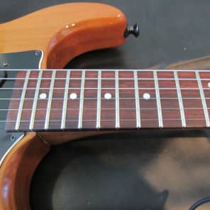 Hamer Prototype 1981 Natural with case image 12