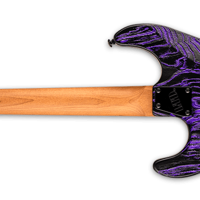 ESP LTD SN-1000HT Purple Blast Electric Guitar Snapper SN-1000 HT SN1000 - B-Stock image 3