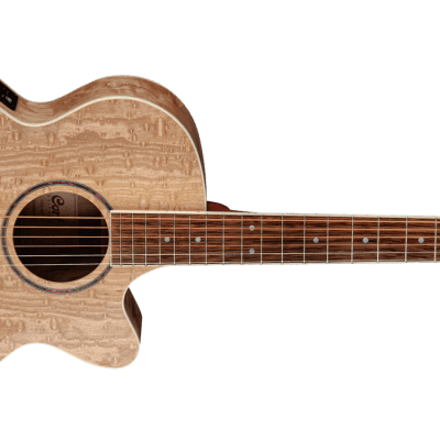 Cort SFX-AB Ash Burl Acoustic Electric Guitar - Natural Ash, Bothners