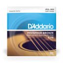 D'Addario EJ16 Phosphor Bronze Acoustic Guitar Strings - Light 12-53