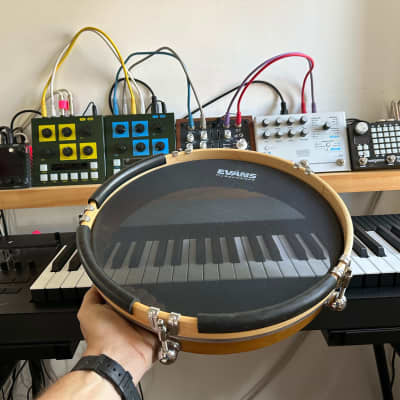 Sunhouse Sensory Percussion - 2 Triggers, w/ software code & 2 13" Reverie Drum Co "Little Drum" Shells w/ Mesh Heads image 6