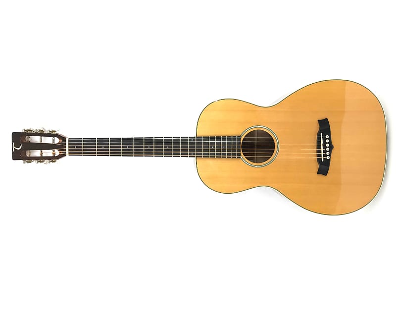 Tanglewood Tw73 E
