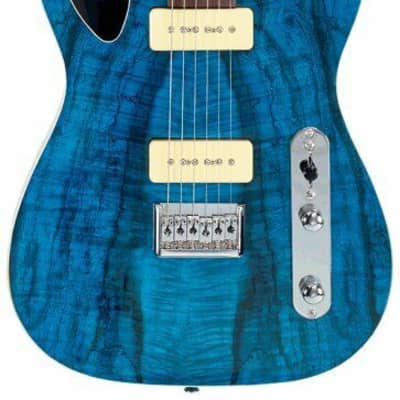 Michael Kelly MK59PTBMRC 59 Port Thinline Spalted Maple Top Mahogany Body Roasted Flame Maple Neck 6-String Electric Guitar image 3