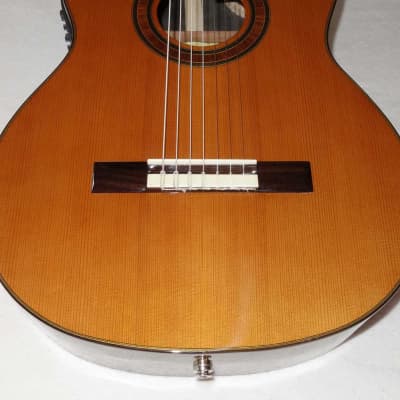 BLACK FRIDAY SALE Bartolex SRC7CEL Classical 7-String Harp Guitar w/Cutaway, Fishman Presys Pickup! image 12