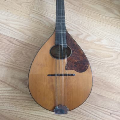 Vintage Regal Mandolin  1920’s ? Brown image 1