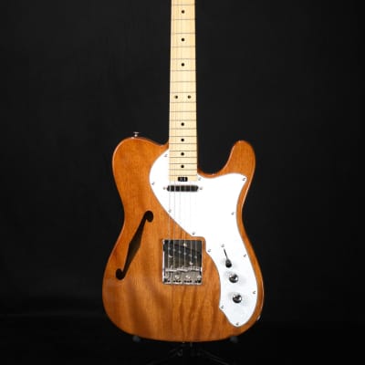 Aria Pro II TEG-TL Thinline Electric Guitar (Various Finishes)-Natural image 1