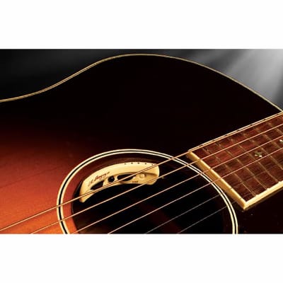 LR Baggs Anthem SL-C Classical Tru-Mic Element Pickup System Nylon Guitar image 2
