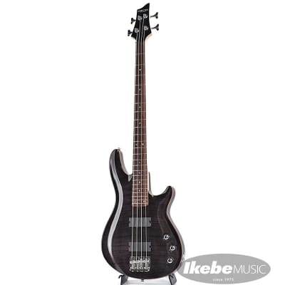 SCHECTER JOL-CT-B-4 (STBK) | Reverb