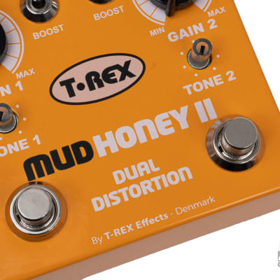 T-Rex Mudhoney