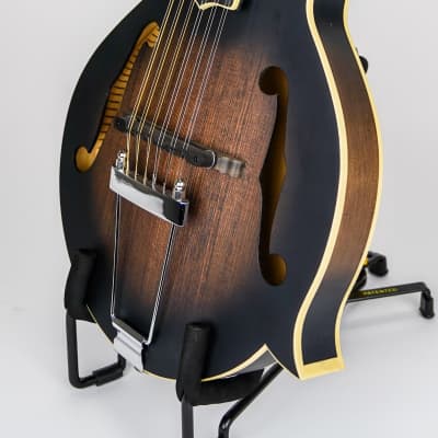 Gold Tone I-F12 Gold Tone F-Style 12-String Mando-Guitar w/ Foam Case image 3