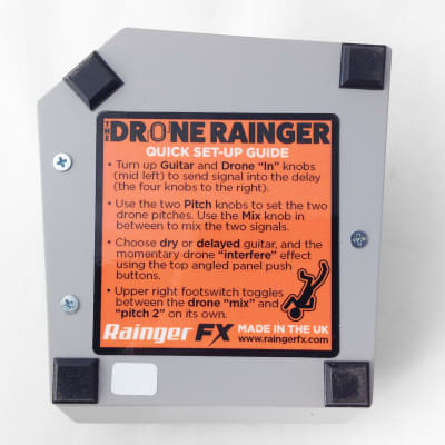 Rainger FX Drone Rainger - Digital Delay image 11