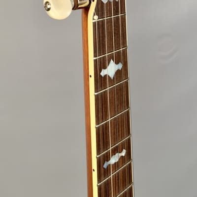 Gold Star GF-100JD Mastertone-style Banjo image 11