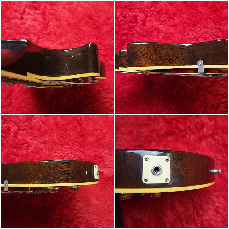 Aria Pro II LS-800VD Leopard Model 1980 - Brown Sunburst