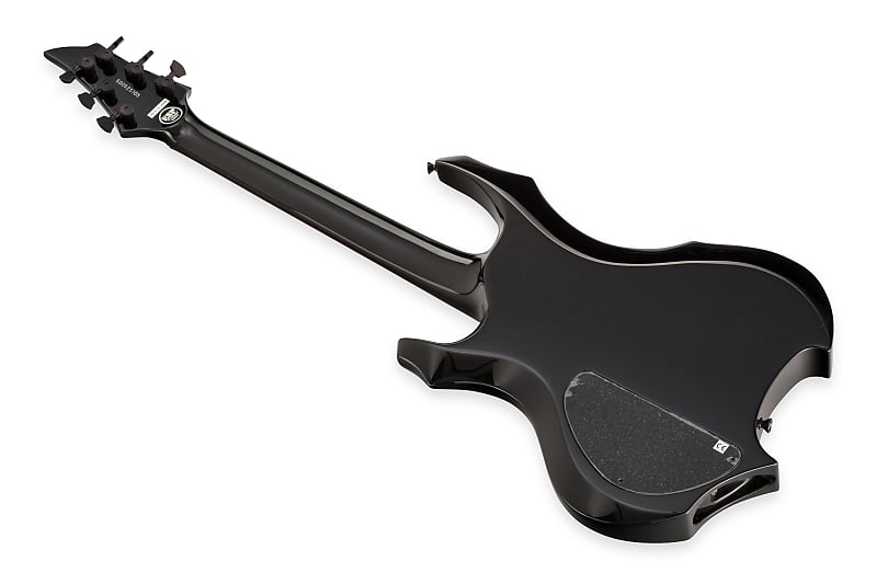 ESPフルオーダーフォレスト FOREST-GT | ESP GUITARS