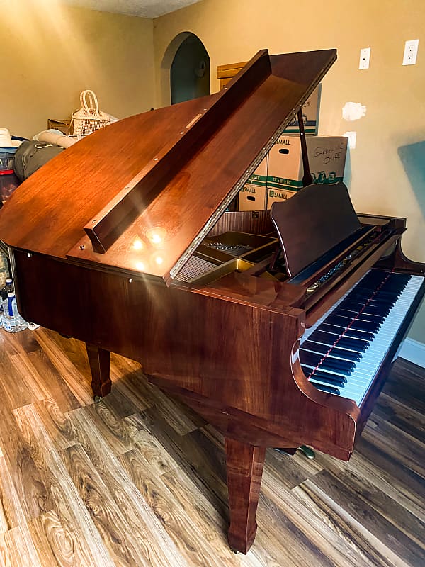 Amazing mahogany baby grand piano 5'2'' Bergmann | Reverb