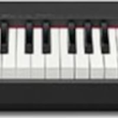Casio CDP-S160 Paquete de piano digital compacto de 88 teclas con soporte  ajustable, banco, libro de instrucciones, DVD instructivo de Austin Bazaar
