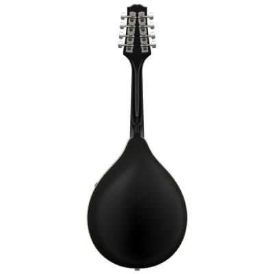 A Style Mandolin with Gig-Bag and Accessories Full Bundle image 5
