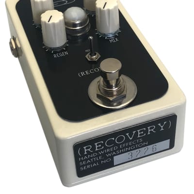Recovery Effects and Devices Dirty Murals V3 Delay and Reverb Pedal Effect image 3