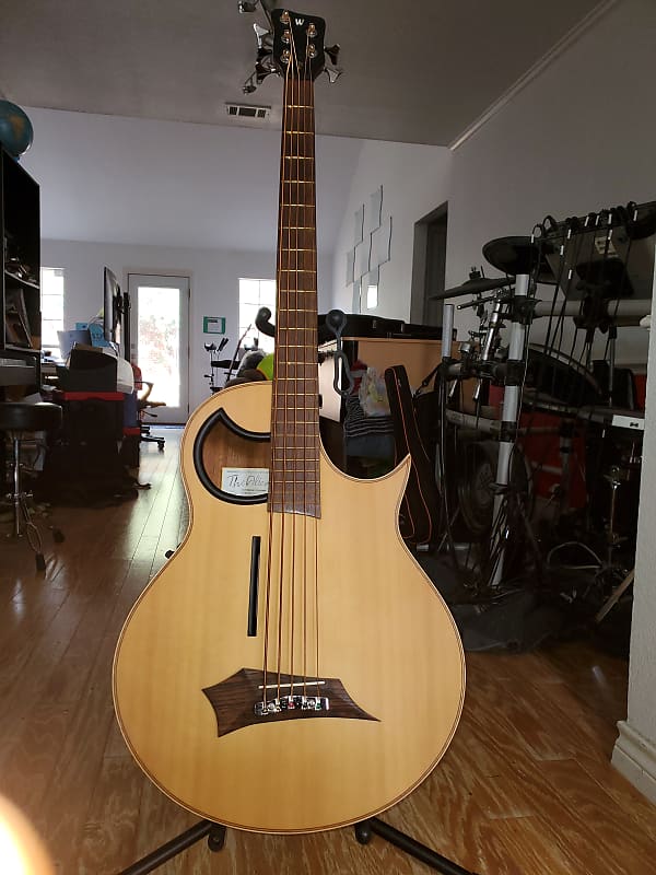 Warwick Alien Acoustic Bass 5 String  + bonus/Free ToneWood Amp for Acoustic Guitar + bonus/Free Taylor Precision Digital Hygrometer and Thermometer image 1