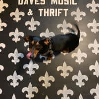 Dave’s Music & Thrift 
