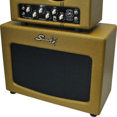 Swart AST Master MkII Head and 1x12 Cab Package image 1