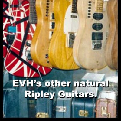 1980's-90's Steve Ripley / EVH infamous VHR "Test Tube" guitar. Owned by Edward Van Halen. From the 5150 stable! image 11