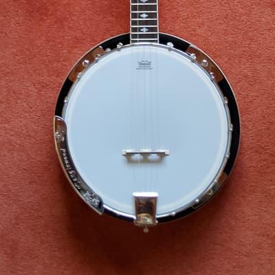 Aria SB-600 Deluxe 5 String Banjo | Reverb UK