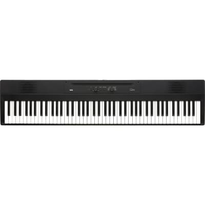 Casio keyboard best sale 88 keys price