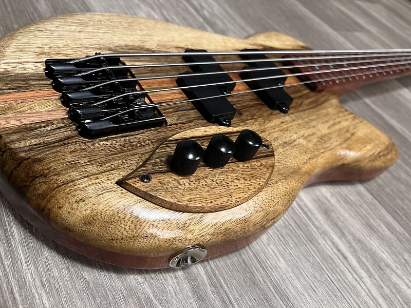 Short Scale Chambered 5 String Bass | Reverb