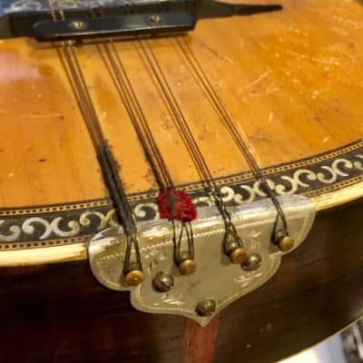 Bruno Klemm. Mandolina. Year 1890 Mandolin. image 14