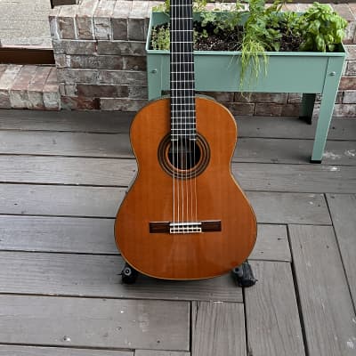Kenny Hill New World Player Series - 650C 2011 Cedar Top/Rosewood Back and Sides image 2