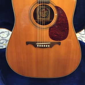 Alvarez Glenbrooke Pro Acoustic Guitar w/ OHSC 1994 Natural Gloss image 1