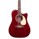 Takamine JJ325SRC Signature Series John Jorgenson Model 12-String Cutaway Acoustic/Electric Guitar D