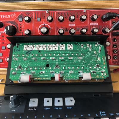 Korg SQ-1 Step Sequencer with Eurorack mount | Reverb