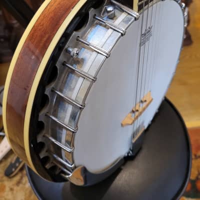 Dean Backwoods 6-String Banjitar Guitar/Banjo Hybrid | Reverb