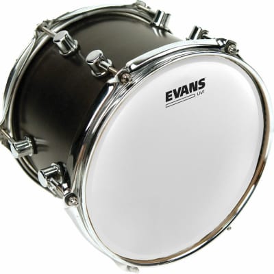 Evans UV1 Coated Drum Head - 14" image 4