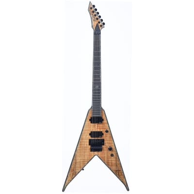 BC Rich Guitars Jr-V Extreme Exotic Electric Guitar with Floyd Rose, Case, Strap, and Stand, Spalted Maple image 2