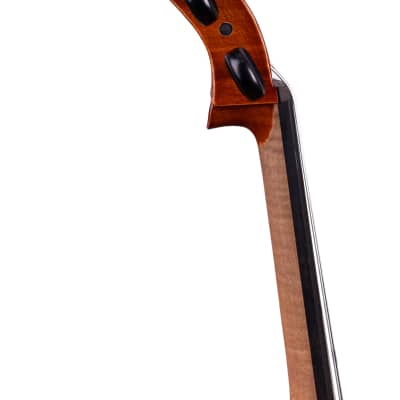 Guarneri Cello 4/4 Hand-Made in Romania 2024 #32 image 9