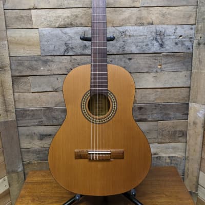 Ortega Classical Acoustic Guitar RSTC5m - Local Pickup, IL ONLY for sale