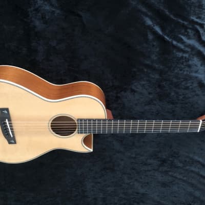 New Terry Pack PLMS acoustic parlour guitar, solid mahogany back / sides, Sitka top, 45mm wide  nut image 1