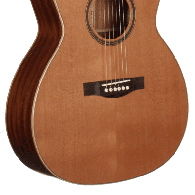 Teton STA105NT Auditorium Guitar, Solid Cedar Top, Mahogany Laminated B&S for sale