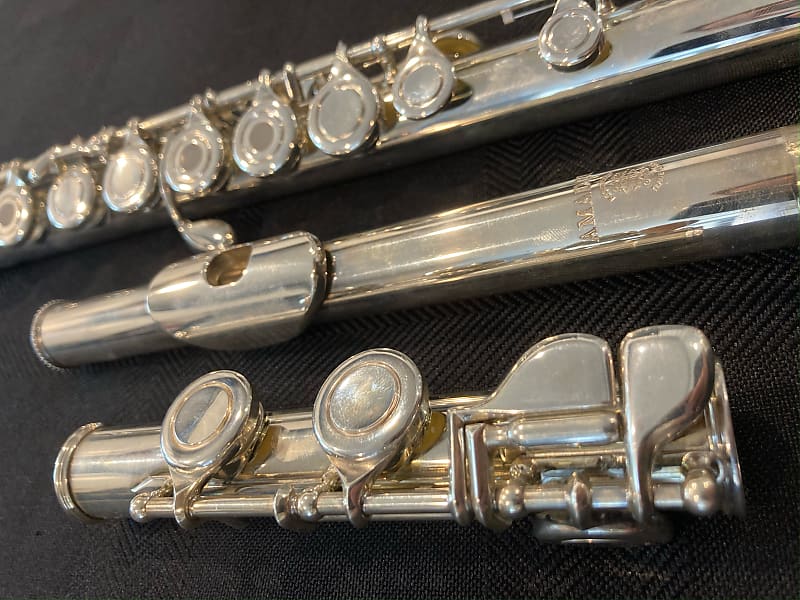 Haynes Amadeus AF520 Flute (Open Hole with plugs) | Reverb