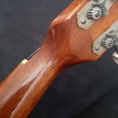 Framus Banjo Standard 8 string 1960's Natural image 10