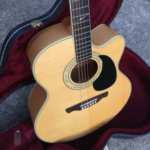 Alvarez Jumbo Acoustic-Electric Guitar w/ Case image 9