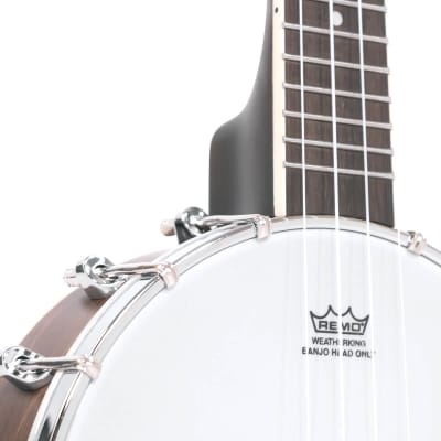 Gold Tone BUT Tenor-Scale 4-String Banjo Ukulele with Hardshell Case - Satin Vintage Brown image 6