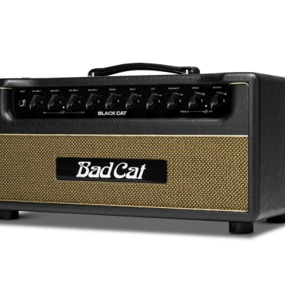 Bad Cat Black Cat 2 Channel 20W Amplifier Head 2xEL84 *Authorized Dealer image 3