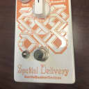 EarthQuaker Devices Spatial Delivery Sample & Hold Envelope Filter 2015 Graphic